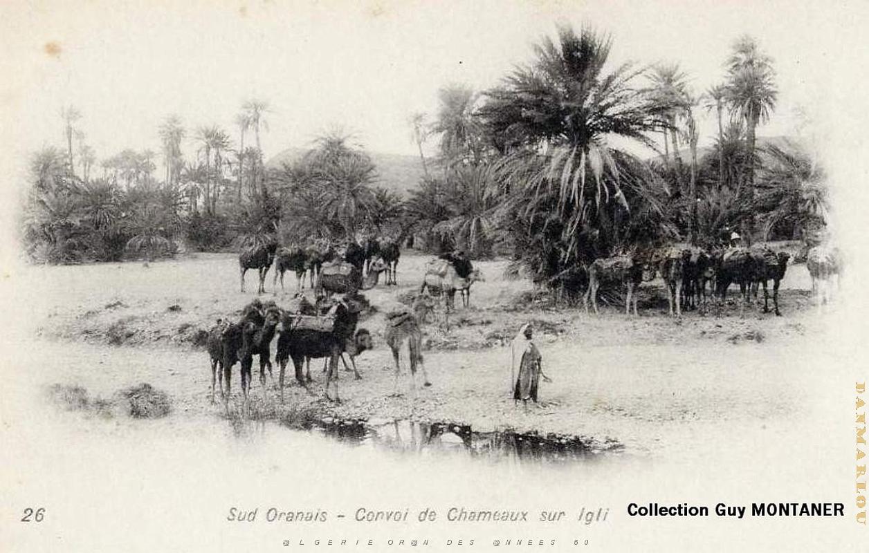 Sud oranais 001- Collection montaner_2.jpg